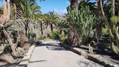  Villa de Cactualdea in La Aldea de San Nicolas