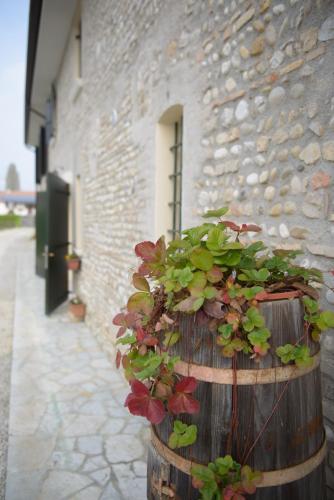 Kert, Ca' Premuda Locazione Turistica in Codogne