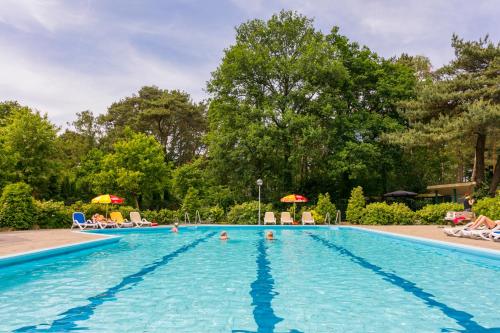 Swimming pool, Bospark Markelo in Markelo