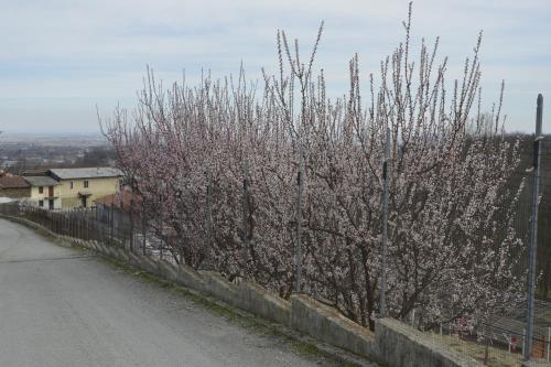 Agriturismo Ai Prüsot