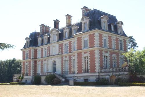 Chateau du Guérinet D'Orchaise - Chambre d'hôtes - Valencisse