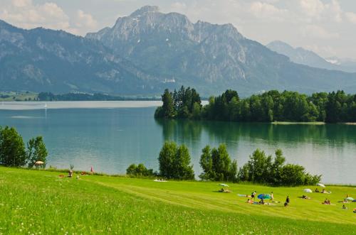 Hotel Kaufmann - image 4