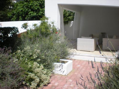 Manolis' House - image 5