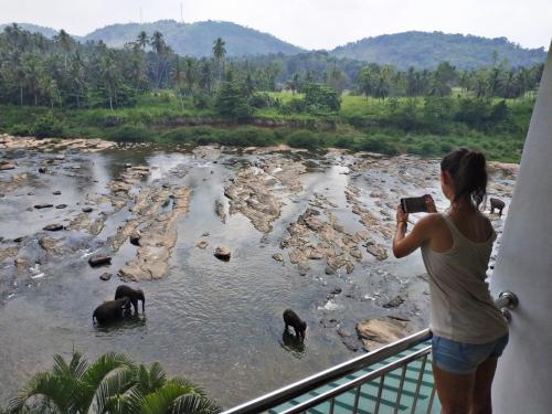 Hotel Elephant Park "Grand Royal Pinnalanda"