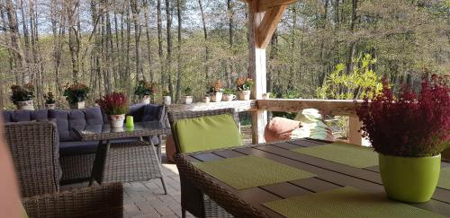 Bársonyberek vendégház Bakony (Barsonyberek vendeghaz Bakony) in ยาสด์