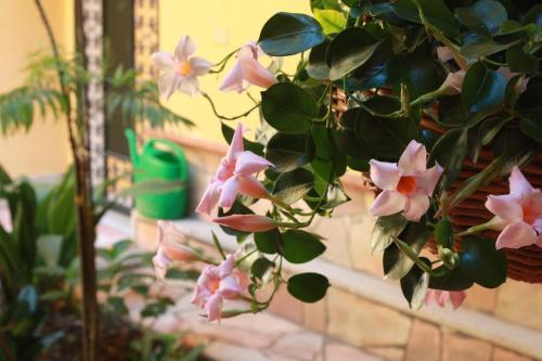 La Magnolia B&B - image 10