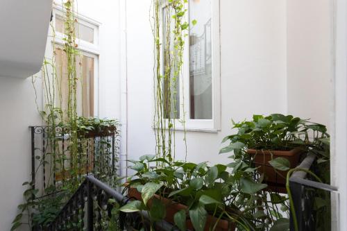 B&B Ai Tintori - image 7