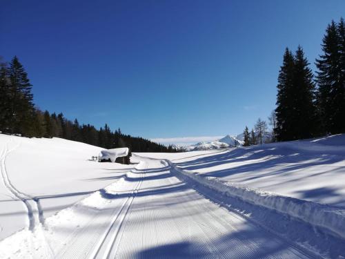 Waldfrieden