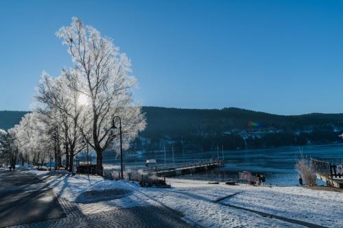 Hotel Bären Titisee - image 8