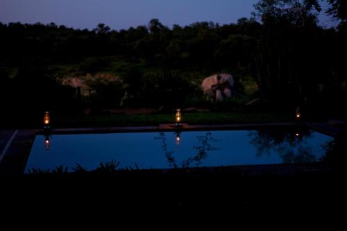 Ivory Wilderness River Rock Lodge 5