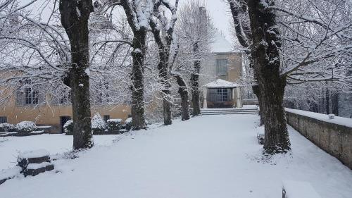 Chateau de Mauvilly photo 22