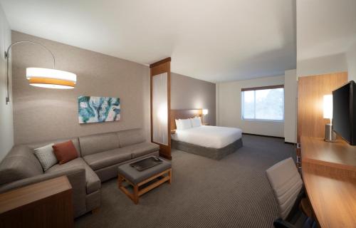 King Room with Sofa Bed and Accessible Tub