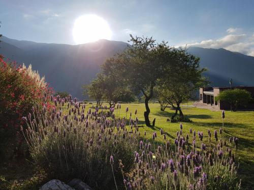 View, La Morada in San Salvador De Jujuy