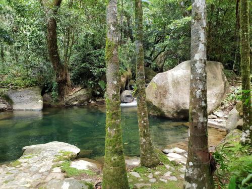 Daintree Secrets Rainforest Sanctuary