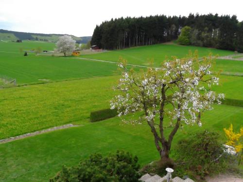 Ferienwohnung Haus Weitblick