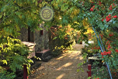  Cirasellaetna, Pension in SantʼAlfio