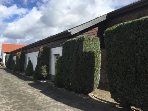 Hof Busen Loft 5.5km von Woof entfernt