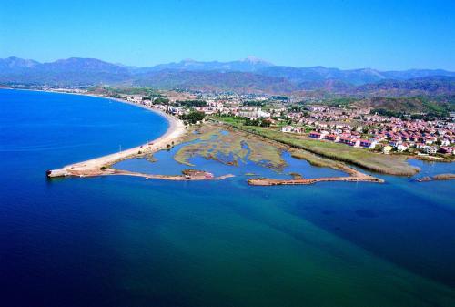 Infinity Safran Villa - image 11
