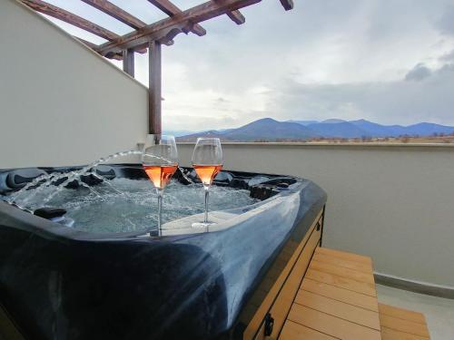 Spa, Wine & SPA complex Starosel in Starosela