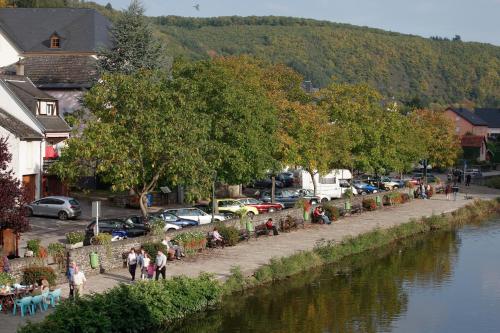 Logis Hotel-Restaurant Petry