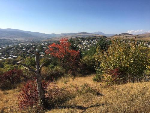 Cozy cottage in countryside close to Tbilisi