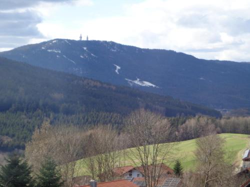 Pension Schamberger 4