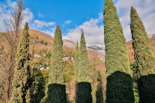 Old Gagra Hotel