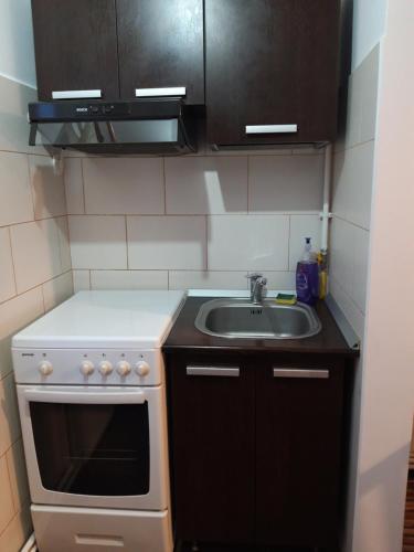 Casa Stely, Rîşnov (foto 9)