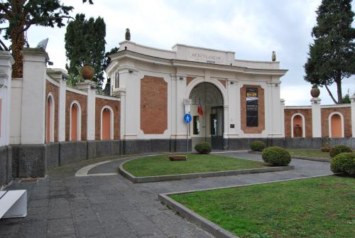 IL GIARDINO DEI GLICINI - image 4