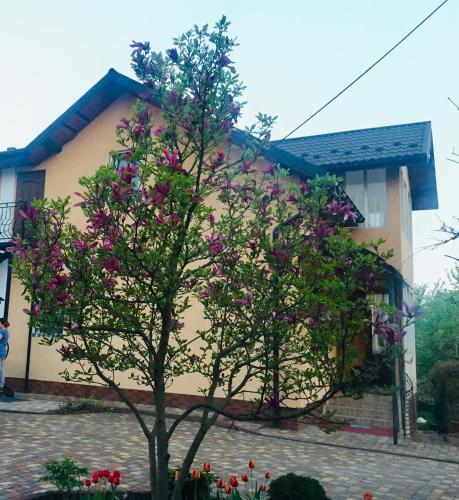 Villa Yaryna, Truskavec'