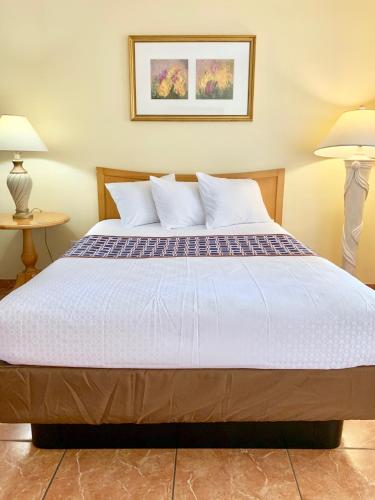 Capri Apartments - main image