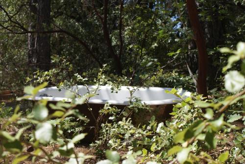 The Red Rooster Lodge - image 2