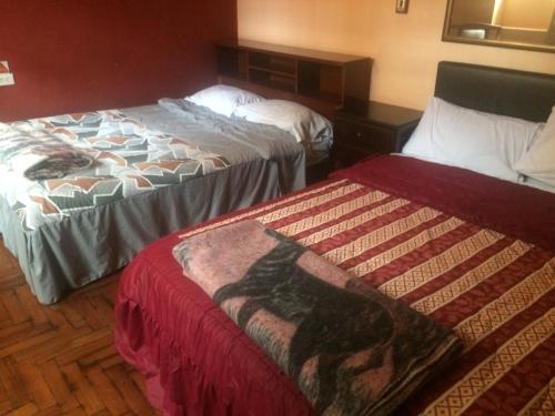 4-Bed Mixed Dormitory Room room in Hostel Del Piamonte 2