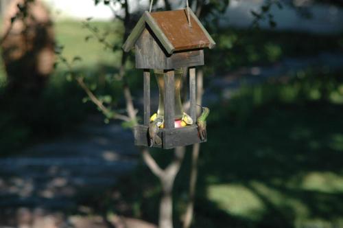 Hotel Paraiso del Oso