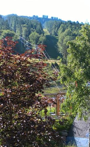 Studio avec vue sur les pistes à St Jean Montclar photo 22