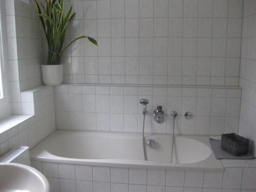 Ferienwohnung mit Aegidienblick