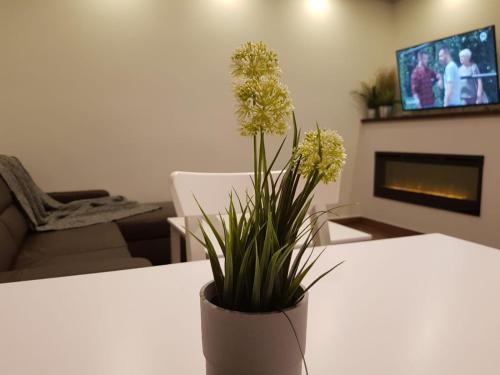PM Apartament, Szklarska Poręba (foto 8)