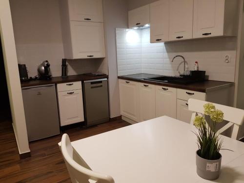 PM Apartament, Szklarska Poręba (foto 6)