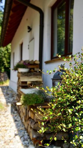 wundervoll eben - CHALETS & PLÄTZE voller WUNDER - NOTSCHKERL & FEINIS