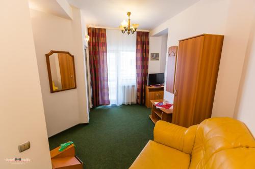 Pensiunea Vila Europa - image 9
