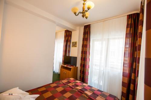 Pensiunea Vila Europa - image 5
