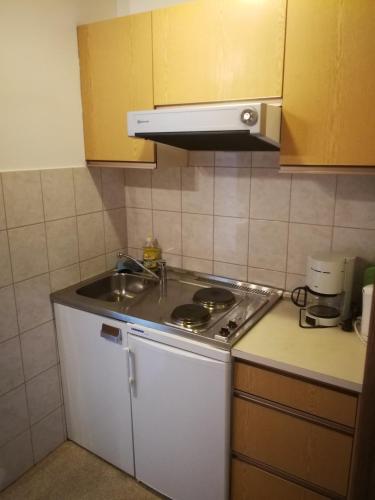 Kitchen, Bergbauernhof Schluder in Kreuth Ob Rattendorf