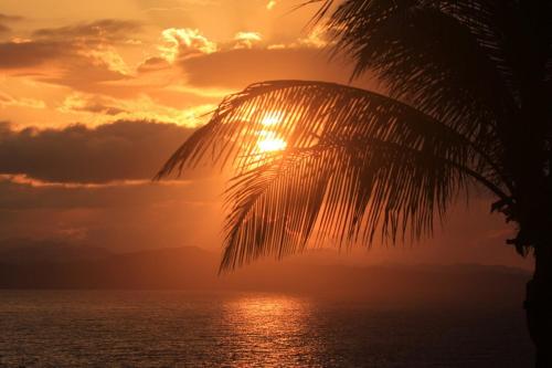 Relax On The Caribbean