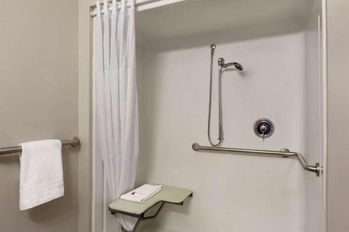 Microtel Inn & Suites by Wyndham - image 8