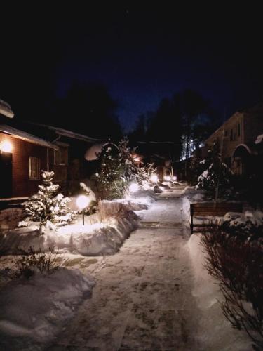 Lodge Shishma - image 3