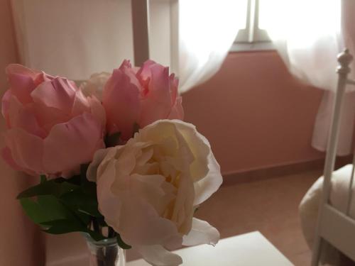 Appartamenti Monte Alago