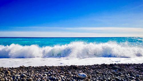 Florida Blue - Easy Home Booking, Nice (photo 5)