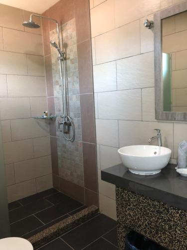 Deluxe Double or Twin Room image 6
