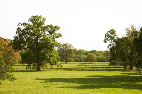 Milton Hill House - image 10