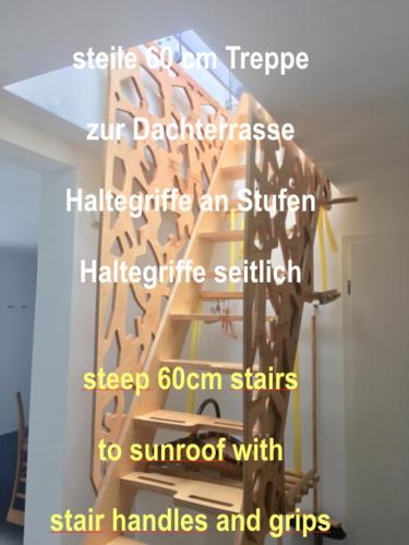 Loft mit Dachterrasse